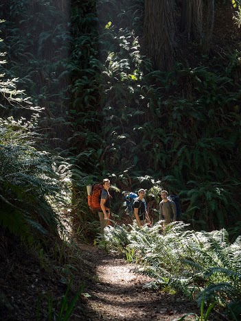 endor switchbacks copy