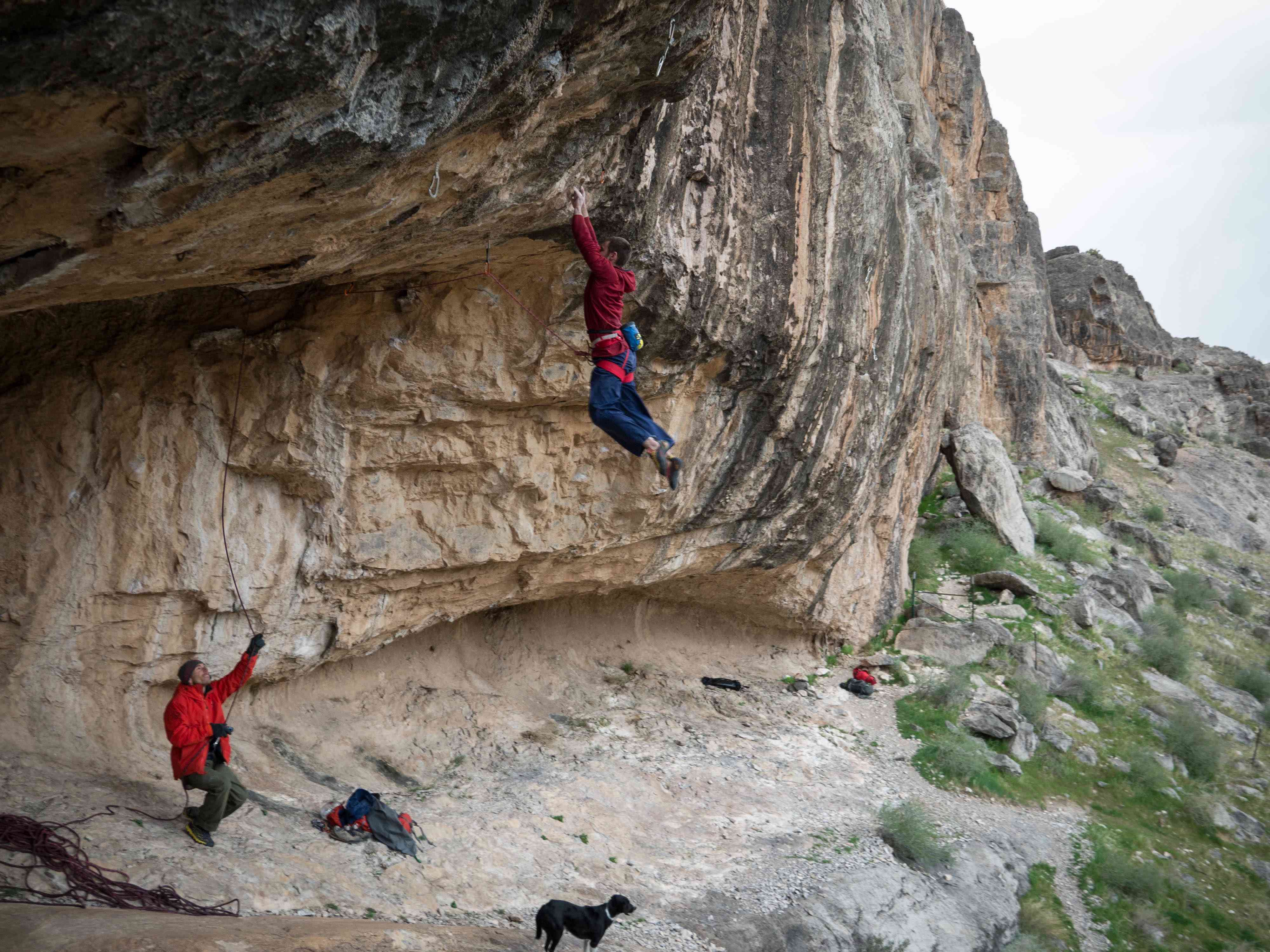Mesquite 2