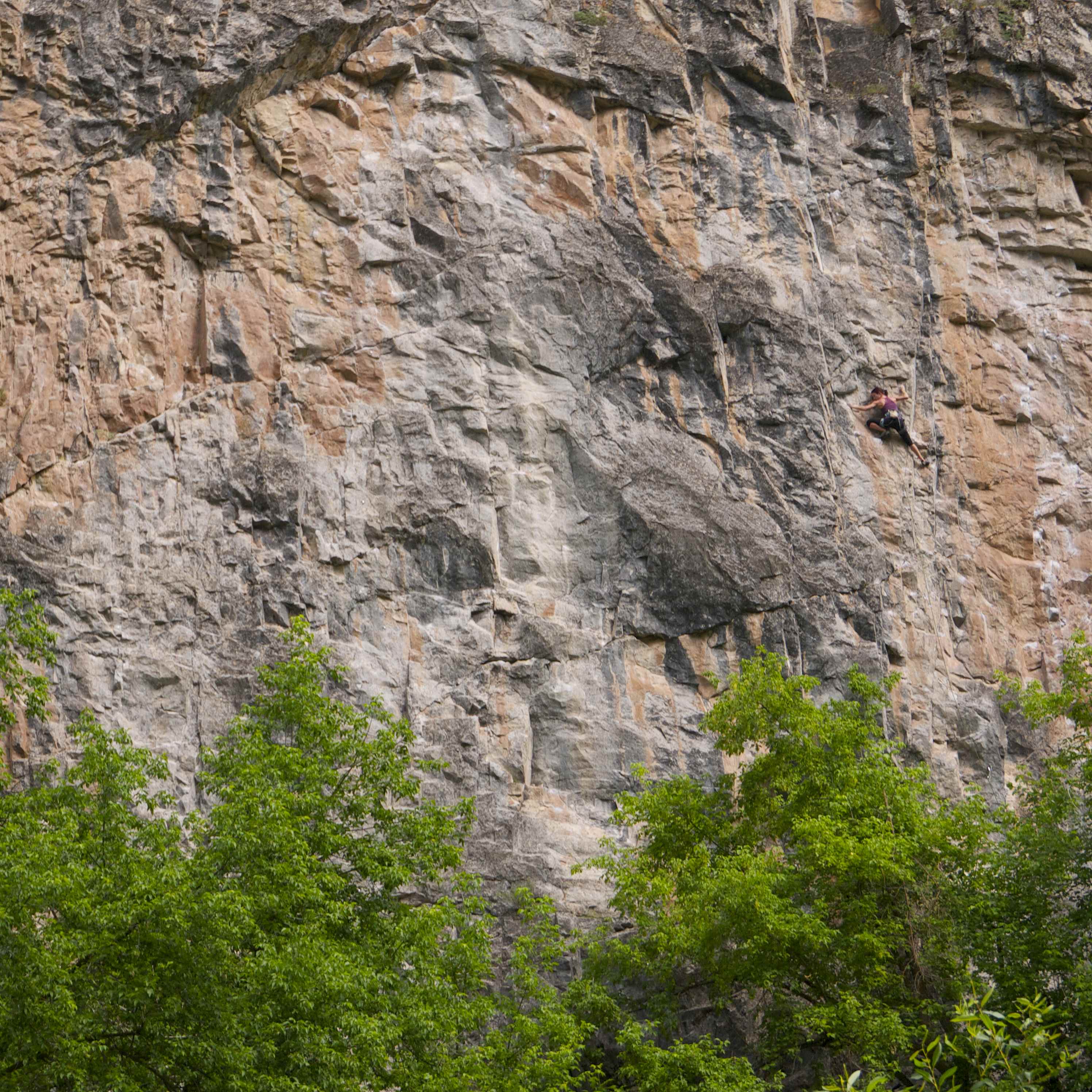 PMS climber