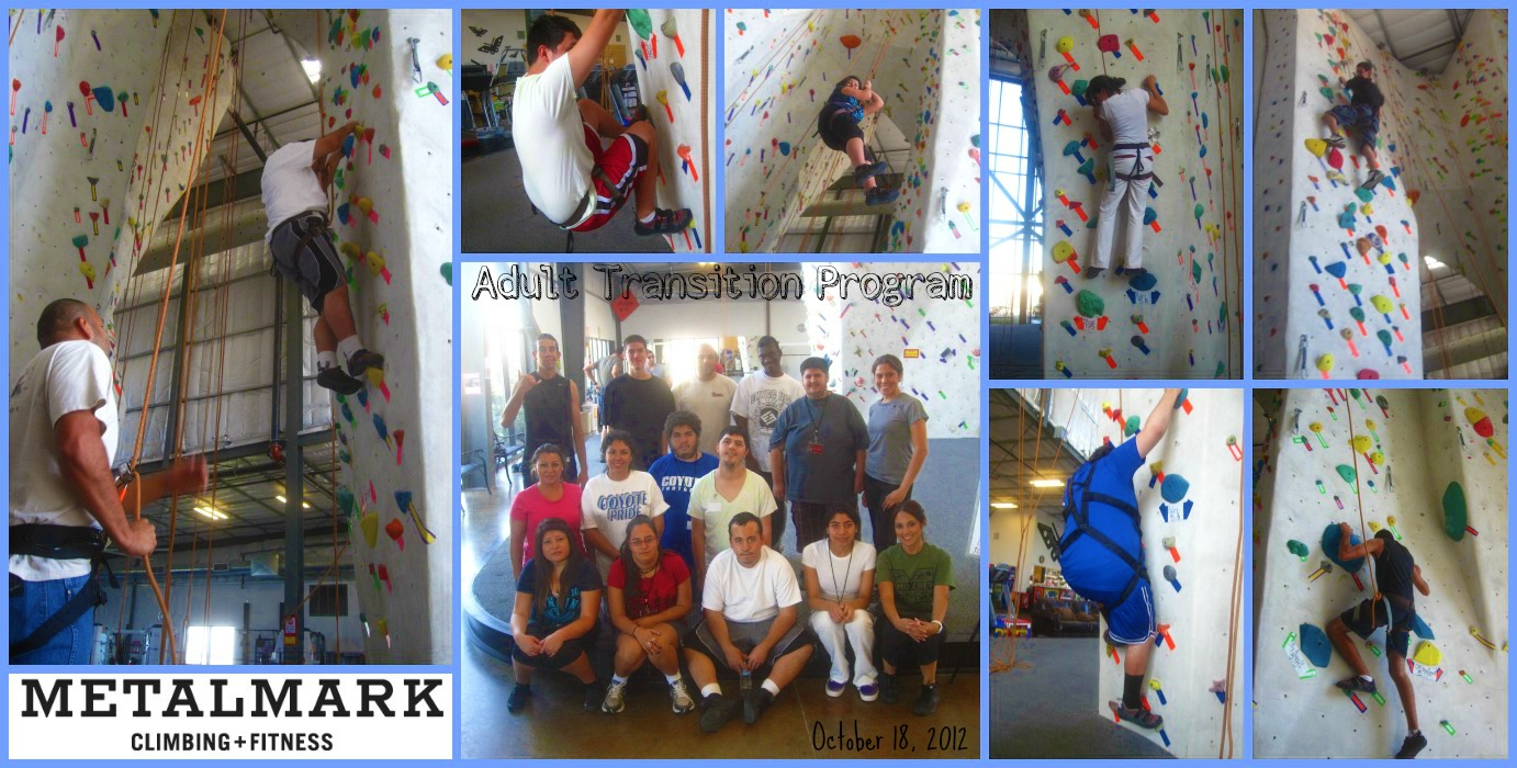 Adult Transition Collage